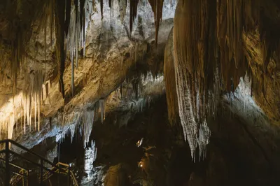 Hastings Caves and Thermal Springs