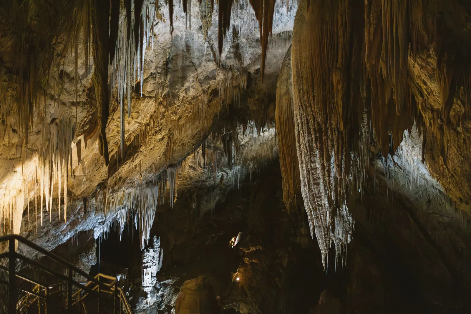 Hastings Caves and Thermal Springs