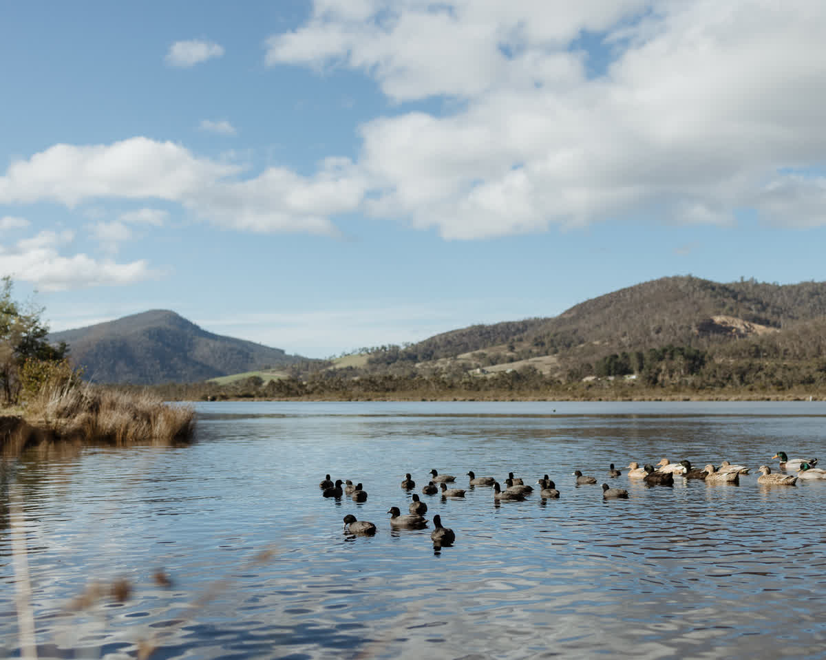 Huon River View Suite - Gallery Image 22