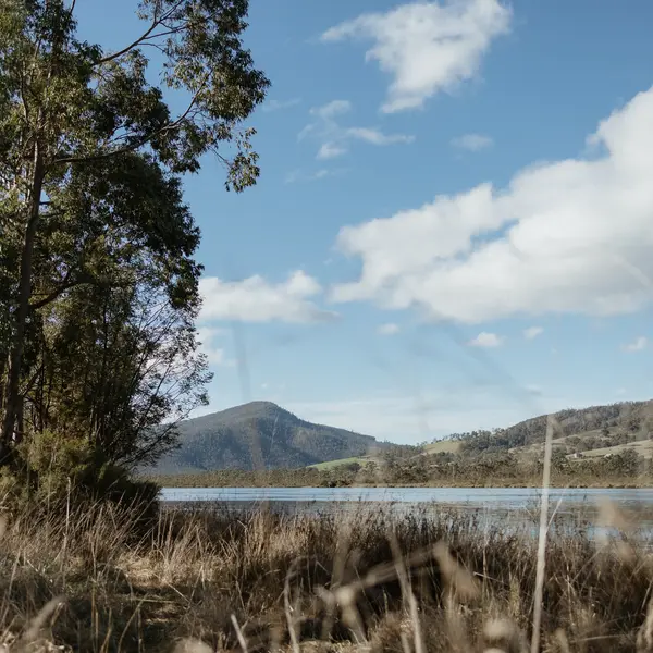 Huon River Sunrise Suite, gallery view 24