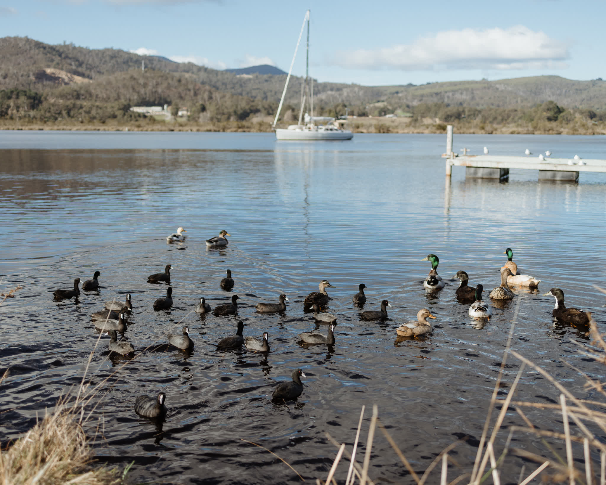 Huon River Sunrise Suite - Gallery Image 25