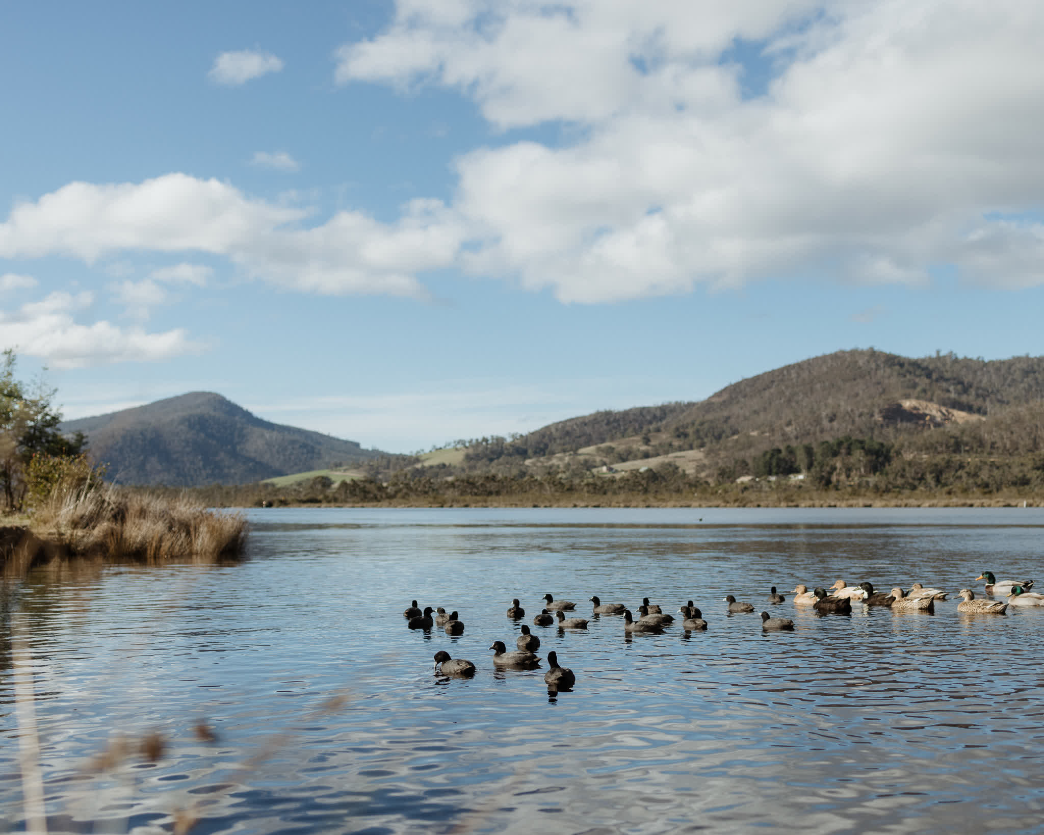 Huon River Sunrise Suite - Gallery Image 27