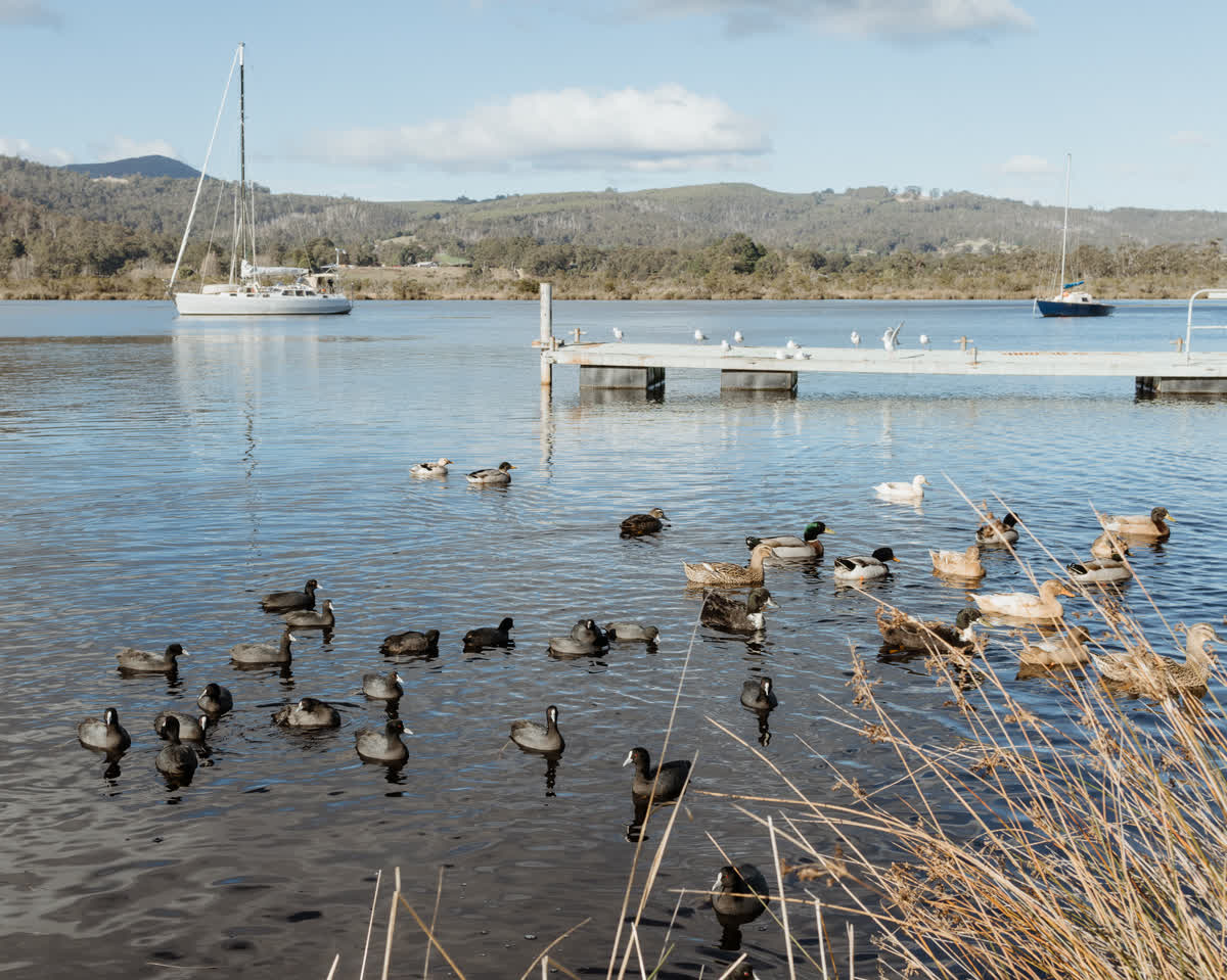 Huon River View Suite - Gallery Image 21