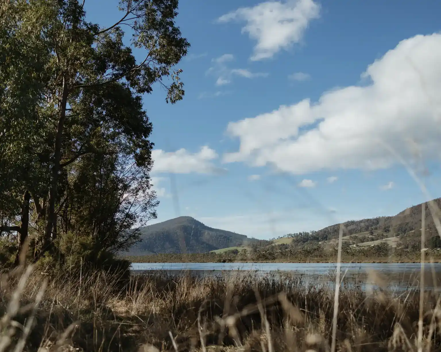 Photos of Boat Reflections accommodation on the Huon River in Franklin, Tasmania. Taken by Josh Withers, Tasmanian photographer and wedding celebran