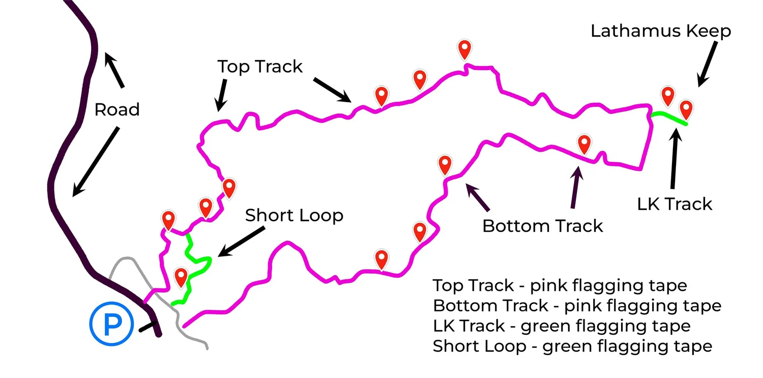 Driving map Grove of the Giants